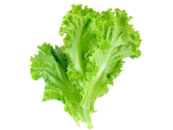 Lettuce லெட்டியூஸ்  - 1/2 Kg