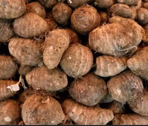 Sembu சேம்பு  - 1/2 Kg