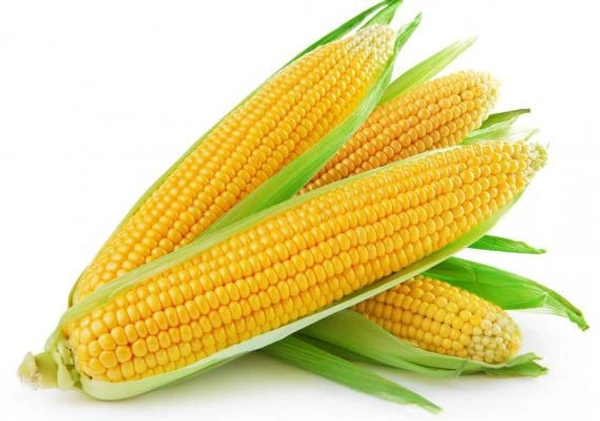 Sweet Corn ஸ்வீட் கார்ன் 