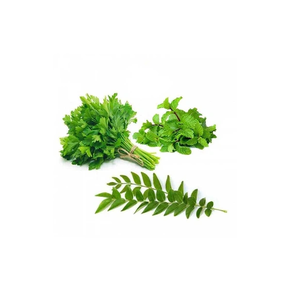 மல்லி, புதினா, கருவபில்லை /Coriander, Mint, Curry Leaves Combo - ₹20