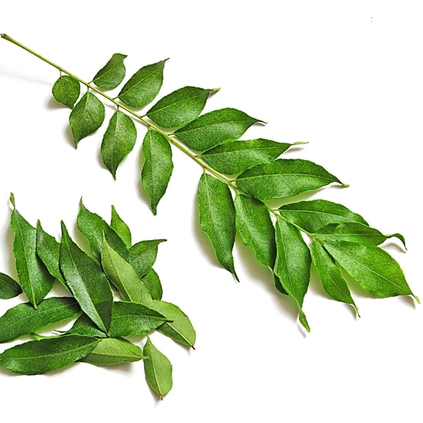 கருவபிள்ளை / Curry Leaves  - ₹20