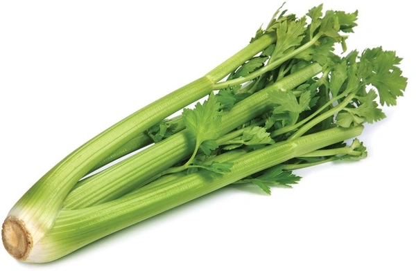 செலரி லீவ்/Celery Leaves