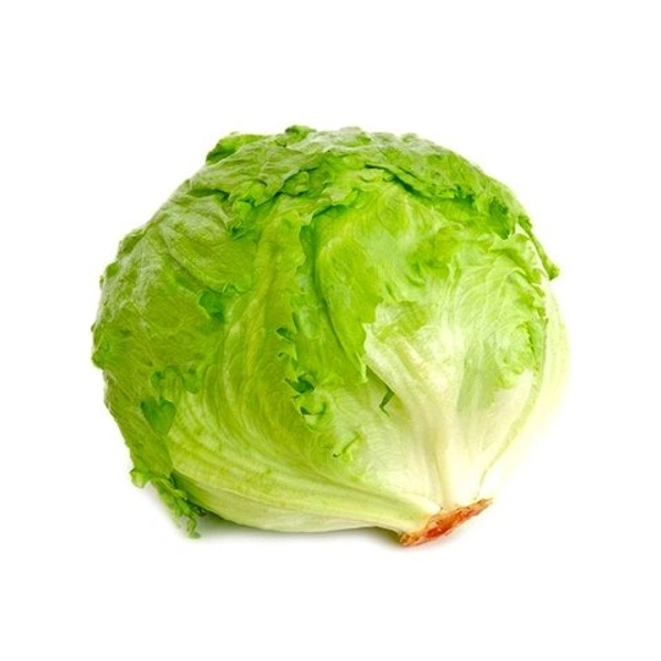 Iceberg Lettuce 