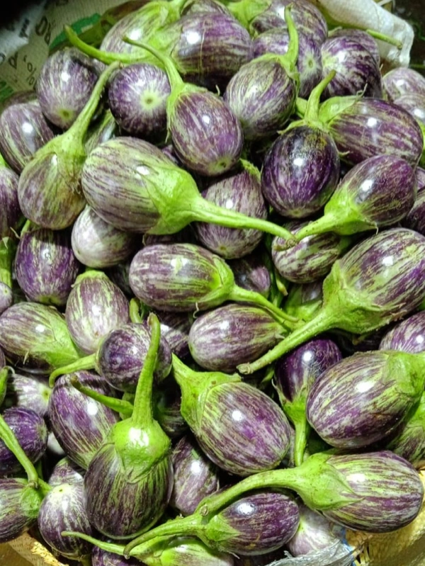 கீரி கத்திரிக்காய்  - 1Kg