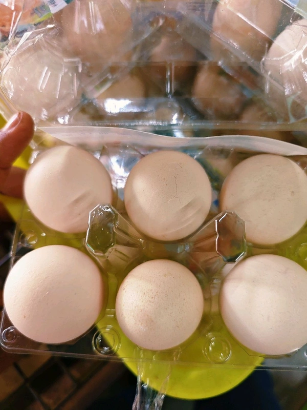 Country Egg நாட்டு கோழி முட்டை  - 1pc