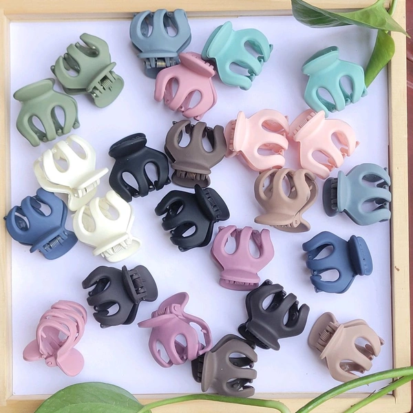 Matte Finish Clip 1Pc- P1073