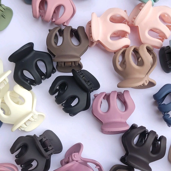 Matte Finish Clip 1Pc- P1073