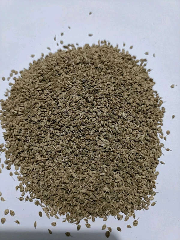 AJWAIN EXTRA  BOLD