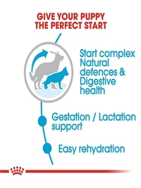 Royal Canin Maxi Starter Dog Food 1Kg