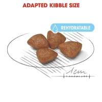 Royal Canin Mini Starter Dog Food 1kg
