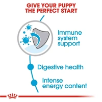 Royal Canin Mini Starter Dog Food 1kg