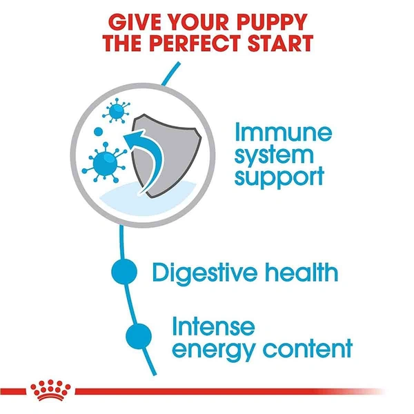 Royal Canin Mini Starter Dog Food 1kg