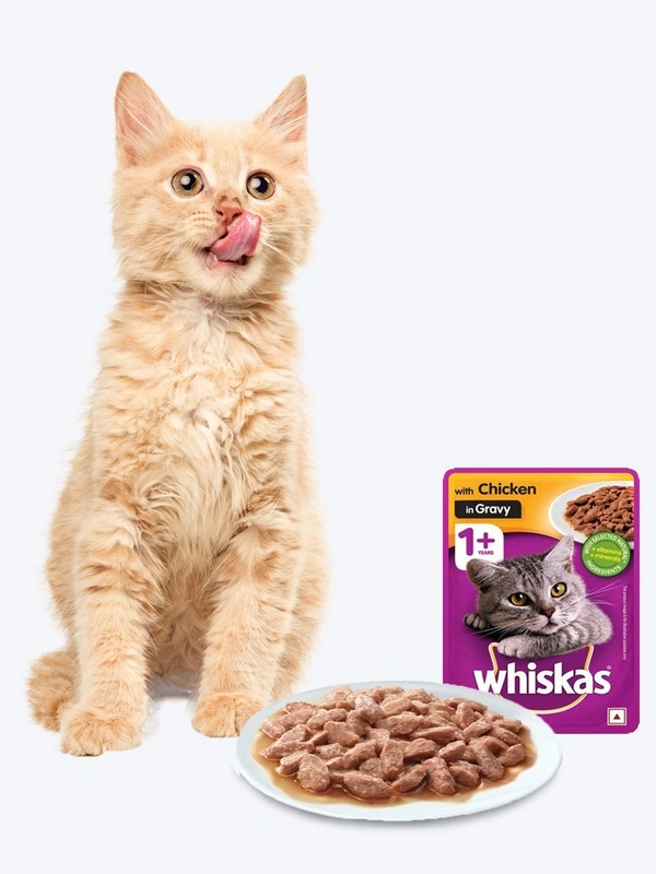 Whiskas Adult Wet Cat Food Chicken in Gravy 80gm Pack Of 12