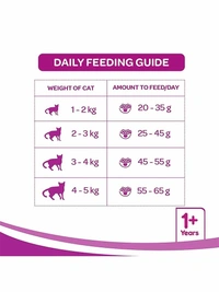 Whiskas Tuna Flavour Adult Cat Dry Food 480gm
