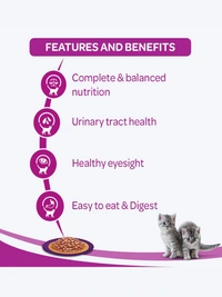 Whiskas Kitten Wet Food Chicken in Gravy 80gm Pack Of 12