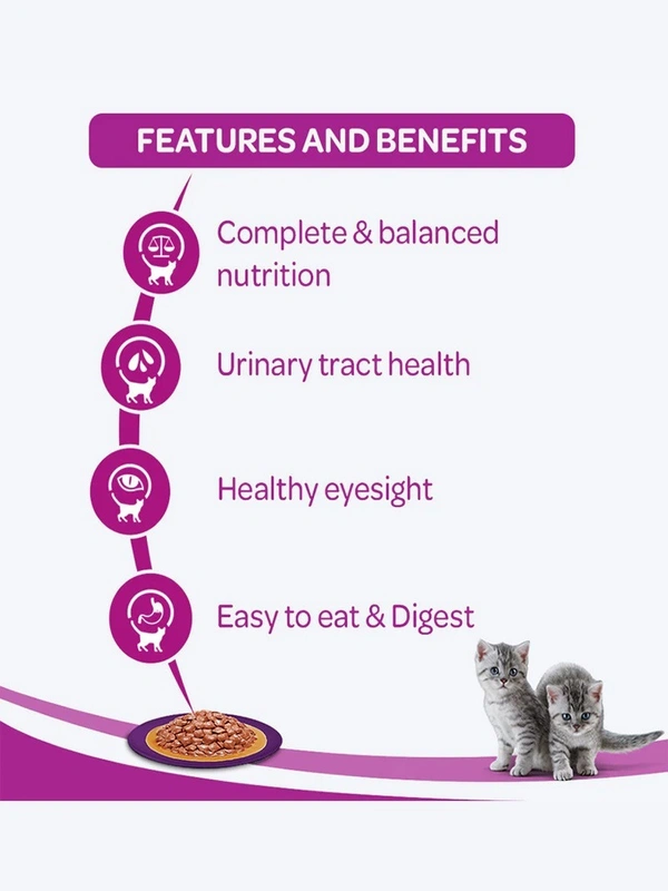 Whiskas Kitten Wet Food Chicken in Gravy 80gm Pack Of 12