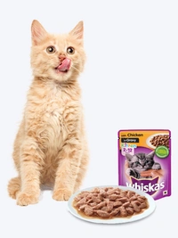Whiskas Kitten Wet Food Chicken in Gravy 80gm Pack Of 12