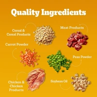 Pedigree Adult Dry Dog Food, Chicken & Vegetables, 3 kg