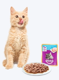 Whiskas Adult Wet Cat Food Ocean Fish in Gravy 80gm Pack Of 12