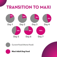 Maxi Adult Dry Dog Food, Chicken and Liver, 20 kg Pack