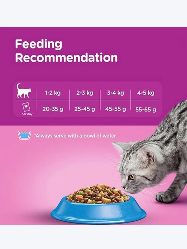 Whiskas Ocean Fish Flavor Adult Cat Dry Food 3kg