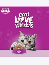 Whiskas Mackerel Flavour Adult Cat Dry Food 3kg