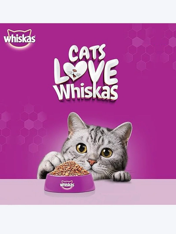 Whiskas Kitten Ocean Fish Cat Food 1.1kg