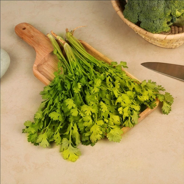 Coriander Bunch (Dhaniya Patta)