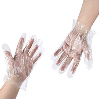 Plastic Transparent Disposable Gloves (100pcs) In One Set