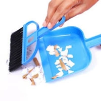 Mini Dustpan And Large Dustpan Set