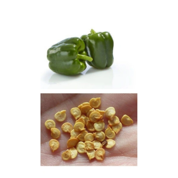 Capsicum Seeds  - large ( 75 - 80 seeds )