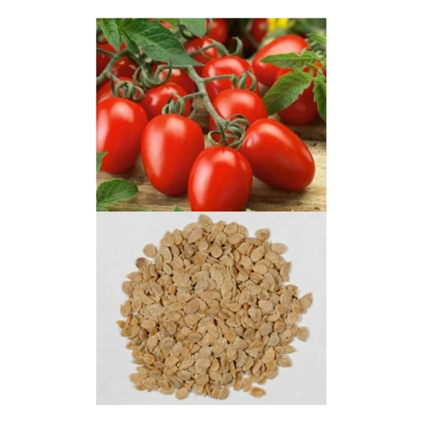 Tomato Seeds  - small ( 35 - 40 seeds )