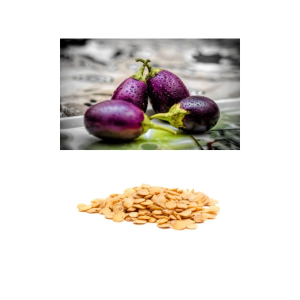 Brinjal Round Purple Seeds - large ( 75 - 80 seeds )