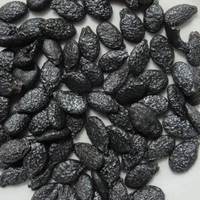 Ridge Gourd Seeds - large ( 75 - 80 seeds )