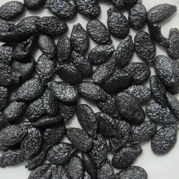 Ridge Gourd Seeds - large ( 75 - 80 seeds )