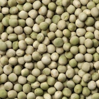Green Pea Seeds  - small ( 35 - 40 seeds )