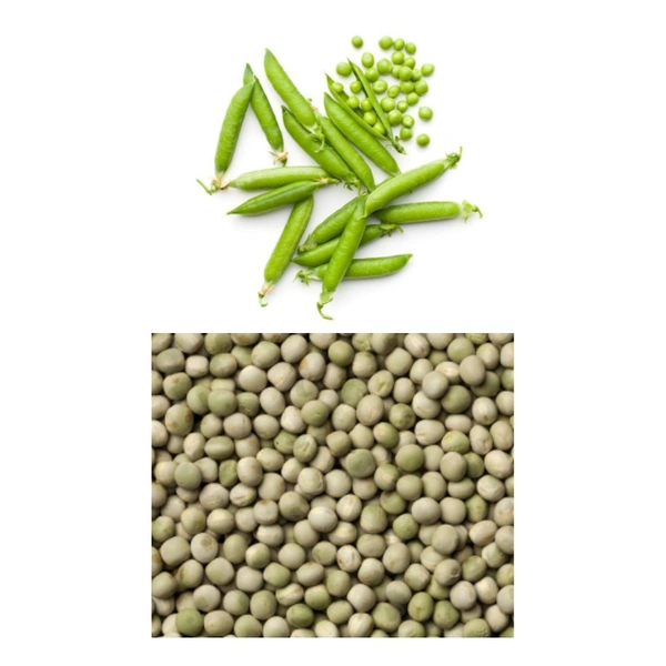 Green Pea Seeds  - large ( 75 - 80 seeds )