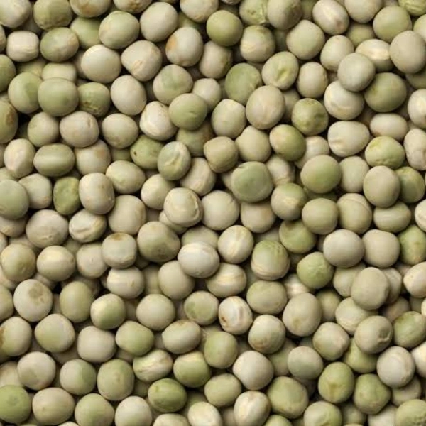 Green Pea Seeds  - large ( 75 - 80 seeds )