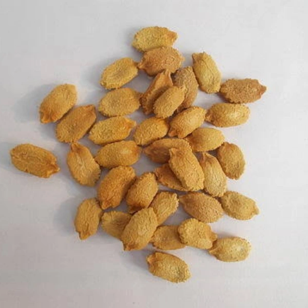 Bitter Guard Seeds  - large ( 75 - 80 seeds )
