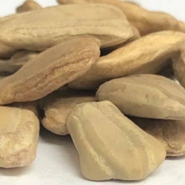 Bottle Guard Seeds  - large ( 75 - 80 seeds )