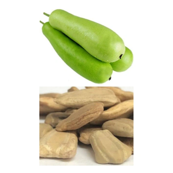 Bottle Guard Seeds  - large ( 75 - 80 seeds )