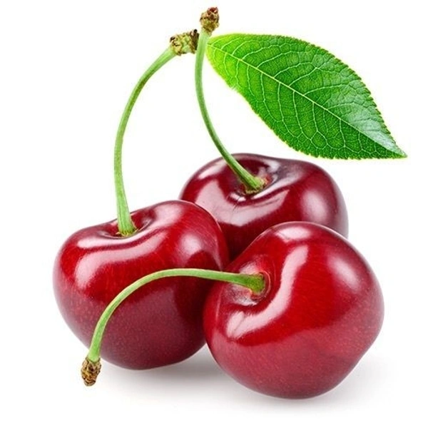 Cherry Plant Dwarf  - brown / black standard pot , 1 - 1.5 feet