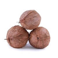 fresho! Coconut - Medium, 1 pc