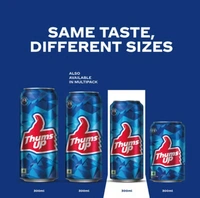 Thums Up Soft Drink (300 ml)