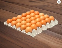 sneha select omega 3 eggs (30eggs pack)