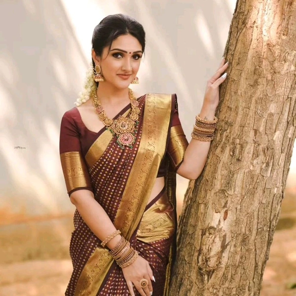 Banrasi Thousand Butta Saree - Brown
