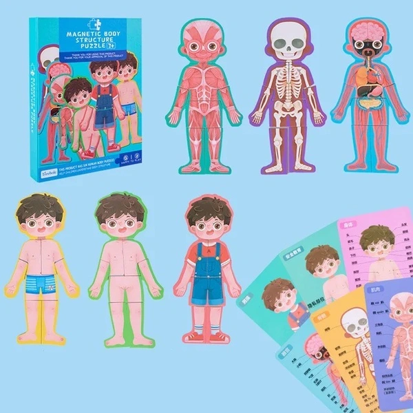 Magnetic Human Body Learning Puzzle Set