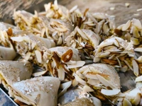 Dryfruits Cone - 1Kg