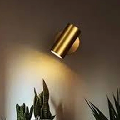 Wall Spot light