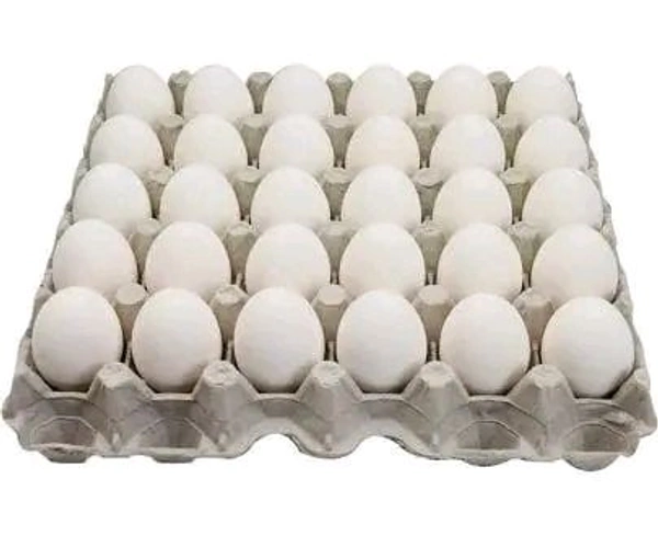 Egg Crate ( 30eggs )